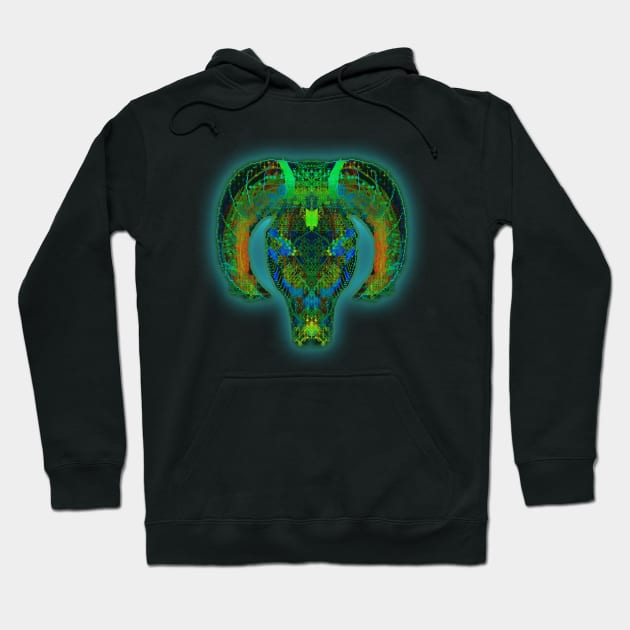 Aries 9c Black Hoodie by Boogie 72